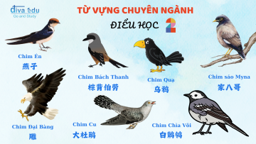 TỪ VỰNG THEO CHỦ ĐỀ - CHUYÊN NGÀNH: ĐIỂU HỌC (PHẦN 2)